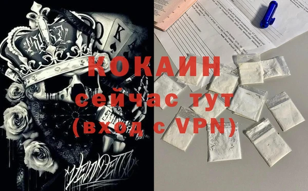ECSTASY Алзамай
