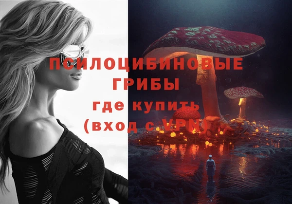 ECSTASY Алзамай