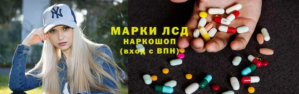 ECSTASY Алзамай