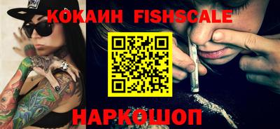 крисы Кузнецк