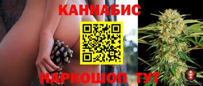 крисы Кузнецк