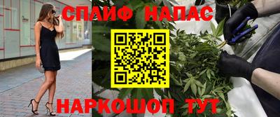 крисы Кузнецк