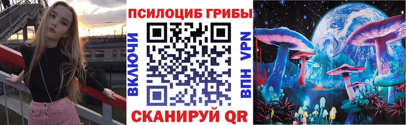 Галлюциногенные грибы Psilocybe  закладки  Старая Купавна 