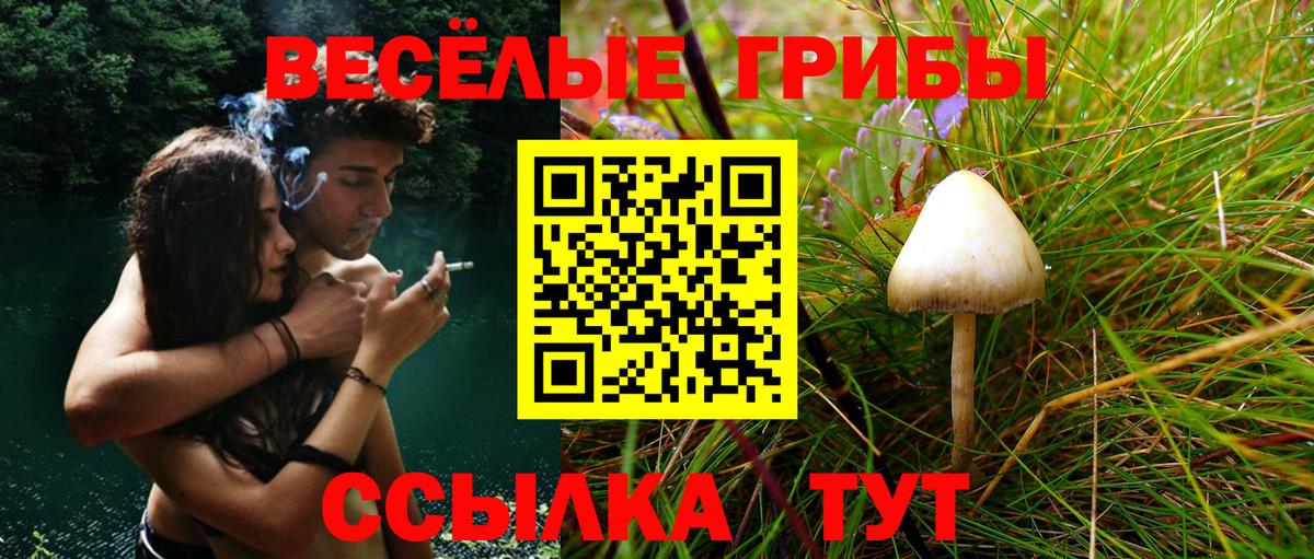 Псилоцибиновые грибы мицелий  Вход с VPN  Галлюциногенные грибы Magic Shrooms  Старая Купавна 